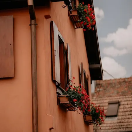 Du Fronholz - Maison Alsacienne Avec Jardin Et Service Traiteur *