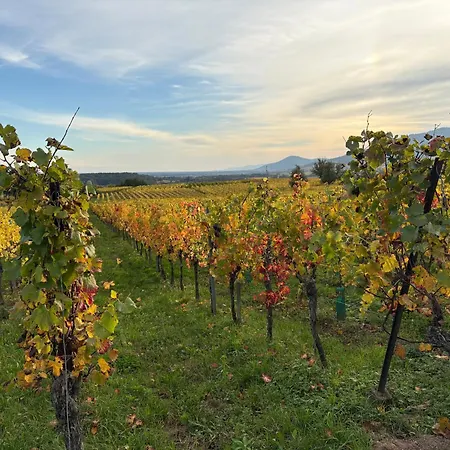 Du Fronholz - Maison Alsacienne Avec Jardin Et Service Traiteur Epfig