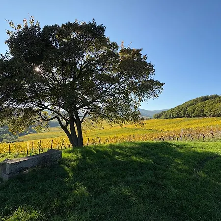Du Fronholz - Maison Alsacienne Avec Jardin Et Service Traiteur Epfig