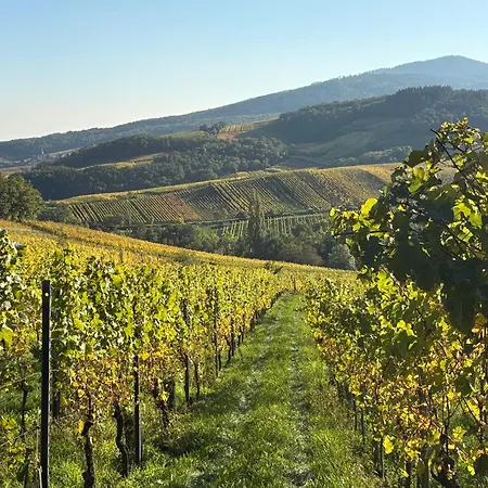 Du Fronholz - Maison Alsacienne Avec Jardin Et Service Traiteur