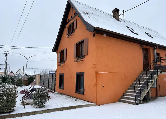 Du Fronholz - Maison Alsacienne Avec Jardin Prázdninový dům